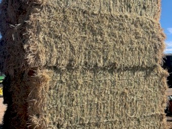 Rye Grass Hay 550Kg 8x4x3 Bales
