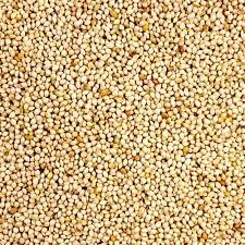 WANTED White French Millet