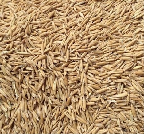 Swan Oats