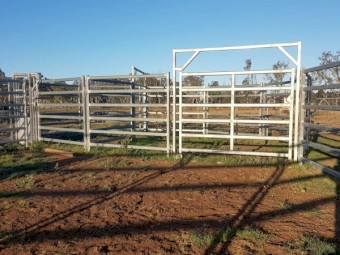 Yardsman C55 Cattle Yard with 600 Series Yardsman Crush with Adjustable Ramp