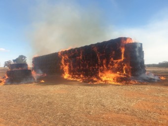 Oaten Hay 8x4x3 Bales, $60 bucks per tonne, way better value than straw