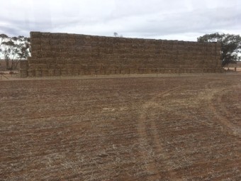 approx 25.3mt Oaten Hay  42 of 8x4x3 Bales