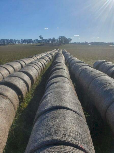 Silage and Hay