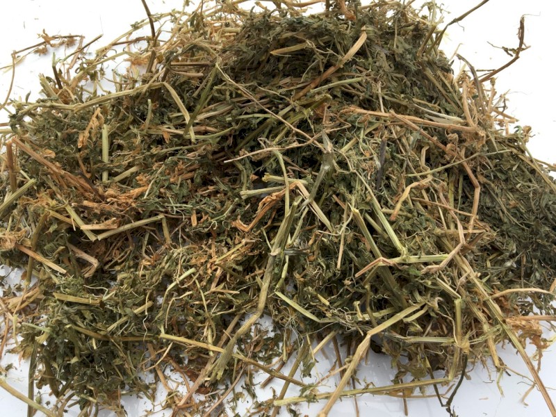 80 Bales Vetch Hay 8x4x3 