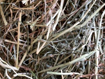 Lucerne Ryegrass Mix Small Square Bales