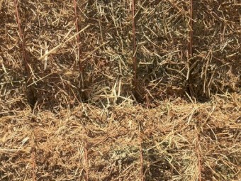 Vetch/Clover Hay A1 Season 19/20
