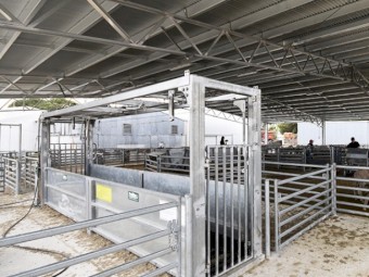 Sheep yards Proway bulk handler