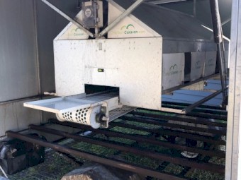 Chicken Caravan 130