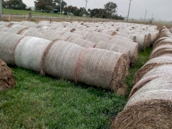 400 x Barley Straw Round Bales