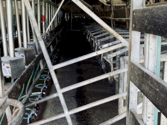 60 aside double up rapid exit dairy FORSALE
