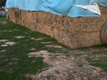 Clover Hay 400kg 8x4x3 Bales