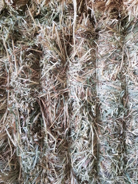 Oaten Hay 640-660kg 8x4x3 Bales Shedded