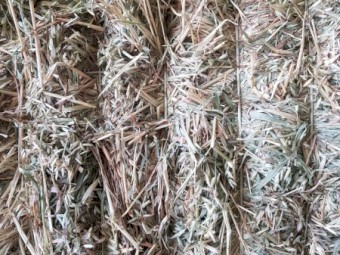 Oaten Hay 640-660kg 8x4x3 Bales Shedded