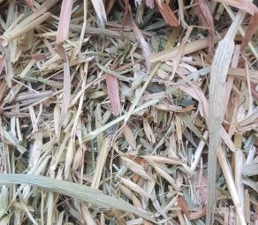 Oaten Hay 640-660kg 8x4x3 Bales Shedded