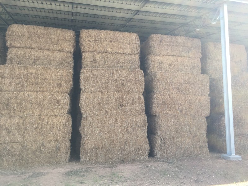 150mt Vetch Hay 8x4x3 Bales (20/21)