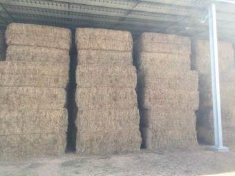150mt Vetch Hay 8x4x3 Bales (20/21)
