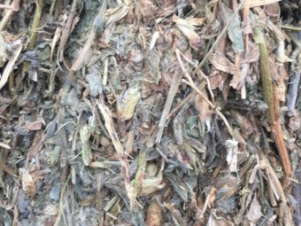 150mt Vetch Hay 8x4x3 Bales (20/21)