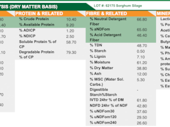 Sorghum Haylage