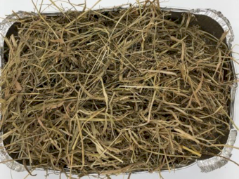 Lucerne Pasture Haylage
