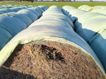 Vetch Hay wrapped for weather protection