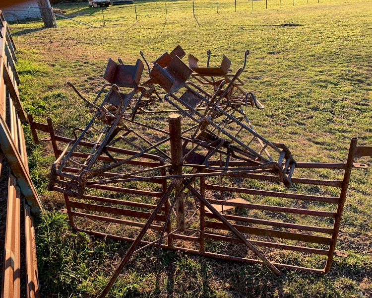 Lamb Marking Cradle