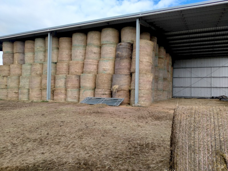 Italian Ryegrass & Shaftal Clover 5x4 Rolls