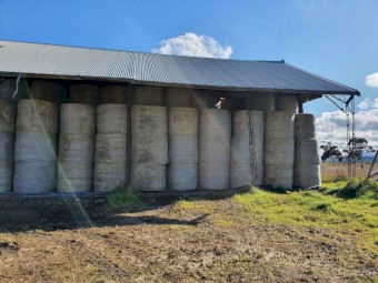 Italian Ryegrass 5x4 Rolls