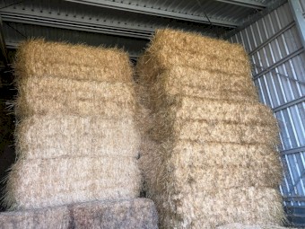 2020 Barley Straw 8x4x3