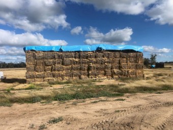 2020 Barley Straw 8x4x3