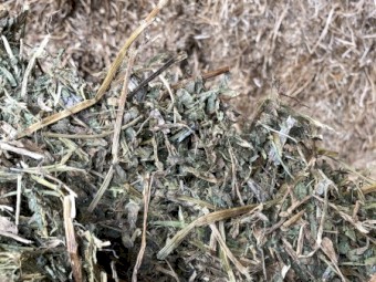 Vetch Hay 600kg 8x4x3 Bales