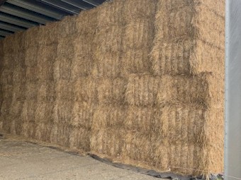 220mt Oaten Hay 600kg 8x4x3 Bales