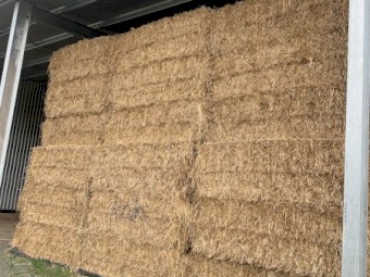 220mt Oaten Hay 600kg 8x4x3 Bales