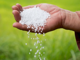 Urea