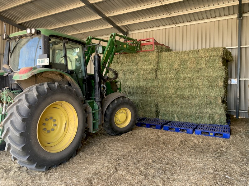 Lucerne Small Square Bales