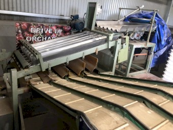 GP Cherry Grader Complete Cherries