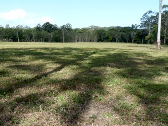 Agistment 60acres Sunshine Coast