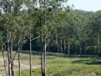 Agistment 60acres Sunshine Coast