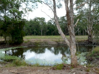 Agistment 60acres Sunshine Coast