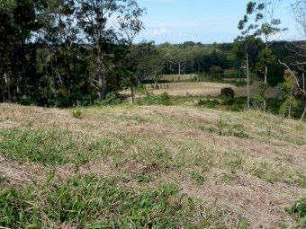 Agistment 60acres Sunshine Coast
