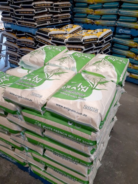 Millet Seed