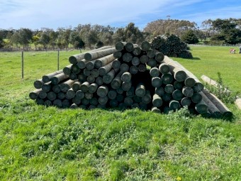 New Peeled Posts, 3.6M