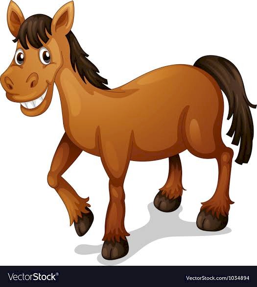 Wanted Quarter Horse or stock horse 