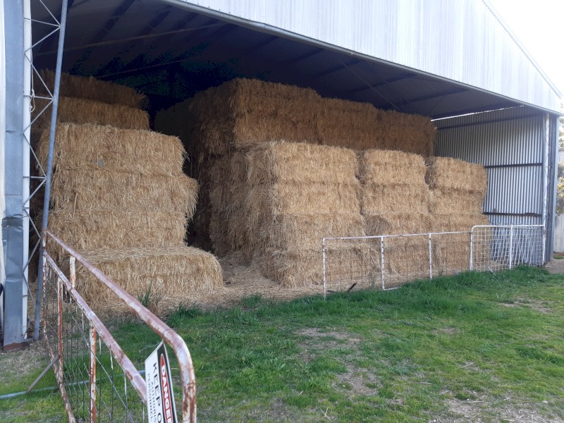 Oaten Hay 7 x 3 x 3 Bales