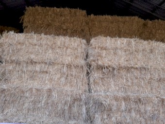 Oaten Hay 7 x 3 x 3 Bales