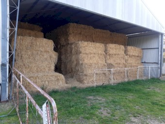 Oaten Hay 7 x 3 x 3 Bales