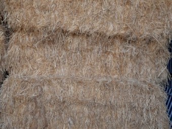 Oaten Hay 7 x 3 x 3 Bales