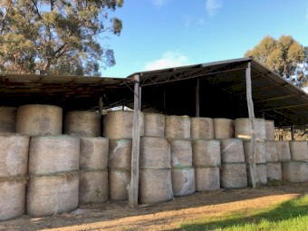 Clover & Rye Hay (Round Bales)