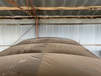 Grain Trailer