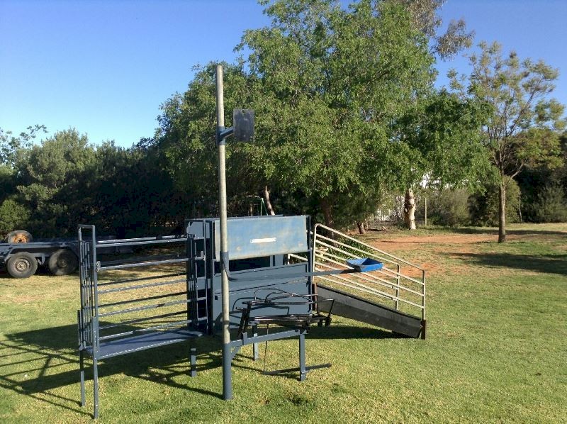 WANTED Harrington or Perkinz crutching stand.