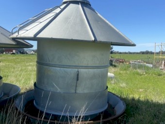 Grain Feeders 